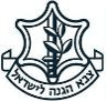 Israel Defense Forces (IDF)